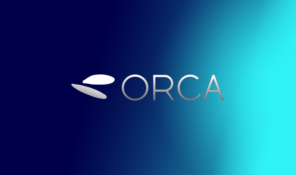 Orca fraud logo