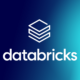 Databricks logo